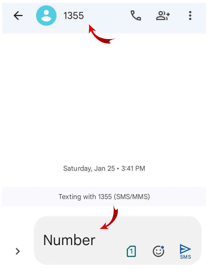 A screenshot of SMS