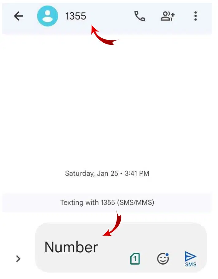A screenshot of SMS