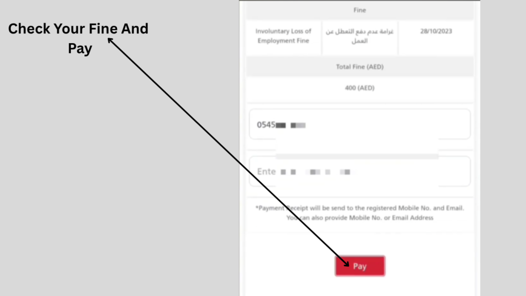 Check and pay ILOE insurance fine online using the official payment portal