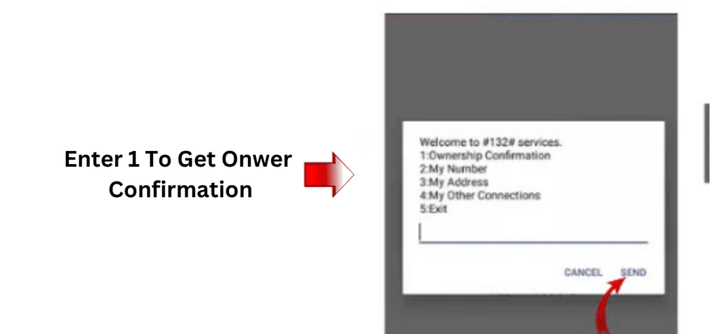DU number ownership confirmation screen after dialing *132# in UAE mobile dialer
