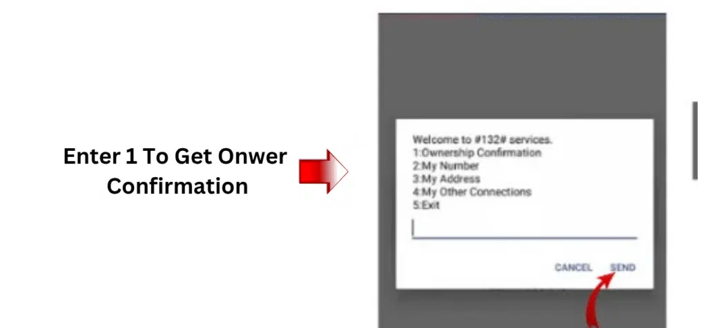 DU number ownership confirmation screen after dialing *132# in UAE mobile dialer