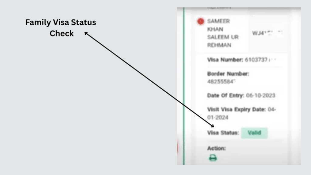 Search form to check Saudi Family Visit Visa Status using application number