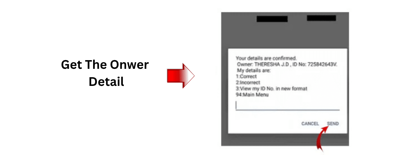 Step-by-step guide showing how to get DU owner details in UAE using the *132# code service