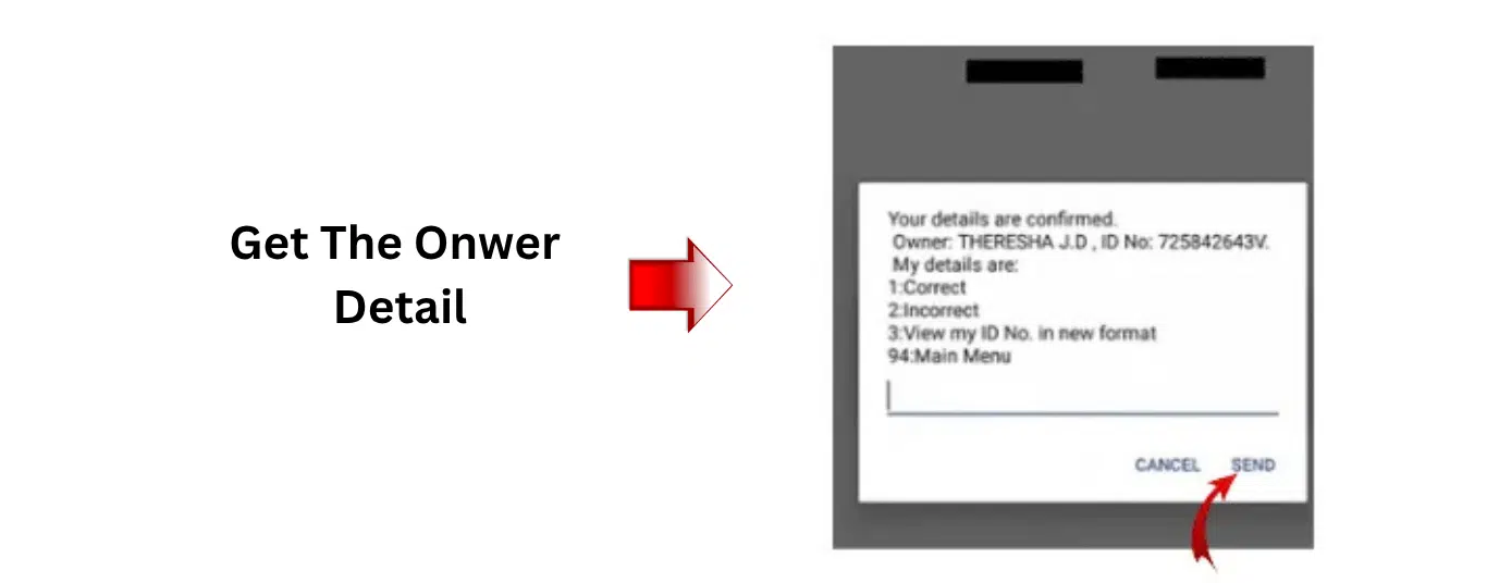 Step-by-step guide showing how to get DU owner details in UAE using the *132# code service