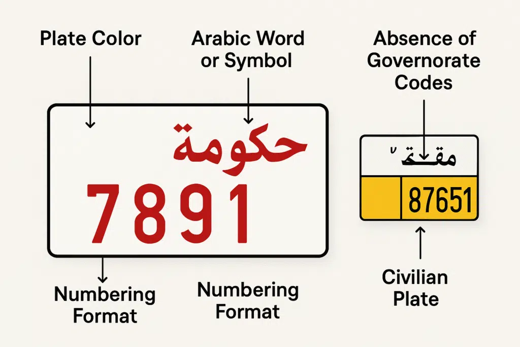 Structure of Plate Format