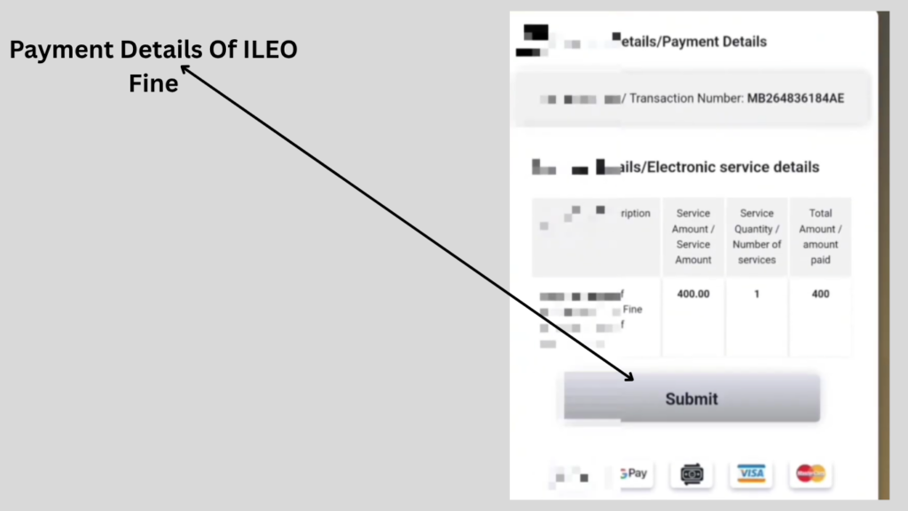 Payment details page for Pay ILOE Insurance Fine using secure online payment