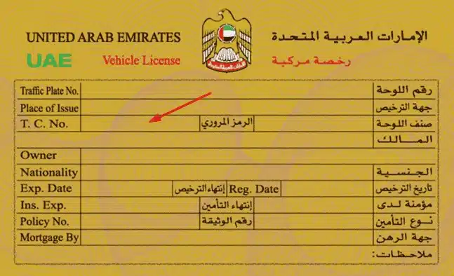 An infographic of Traffic File Details