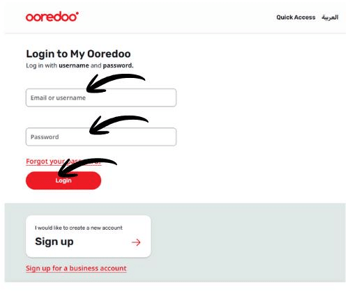 A Screenshot of Checking Balance Online via Website
