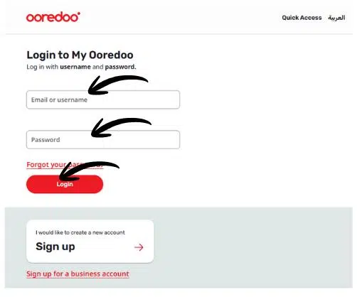 A Screenshot of Checking Balance Online via Website
