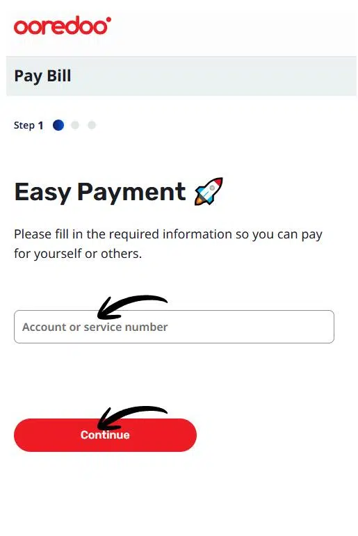 A Screenshot of Checking Balance Online via Website