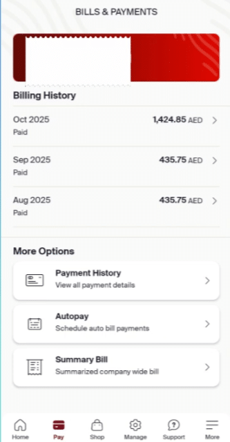 Etisalat Quick Pay payment screen showing credit or debit card details form to complete Etisalat bill payment online in the UAE.