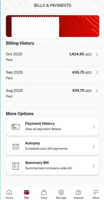 Etisalat Quick Pay payment screen showing credit or debit card details form to complete Etisalat bill payment online in the UAE.