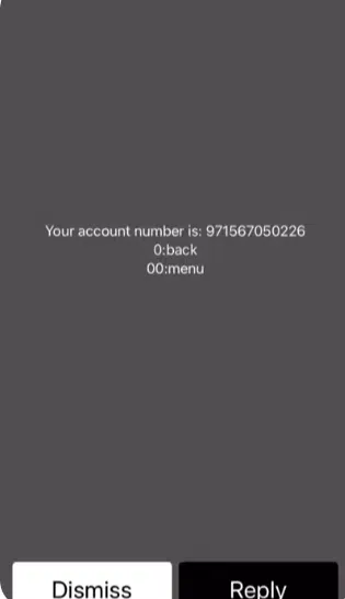 Ethisalat number check image