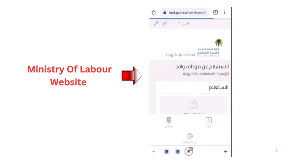 Saudi Ministry of Labour website mobile view for checking Iqama colour status and employee information online