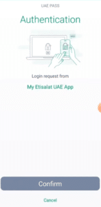 Enter current UAE PASS PIN to verify identity during login