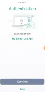 Enter current UAE PASS PIN to verify identity during login