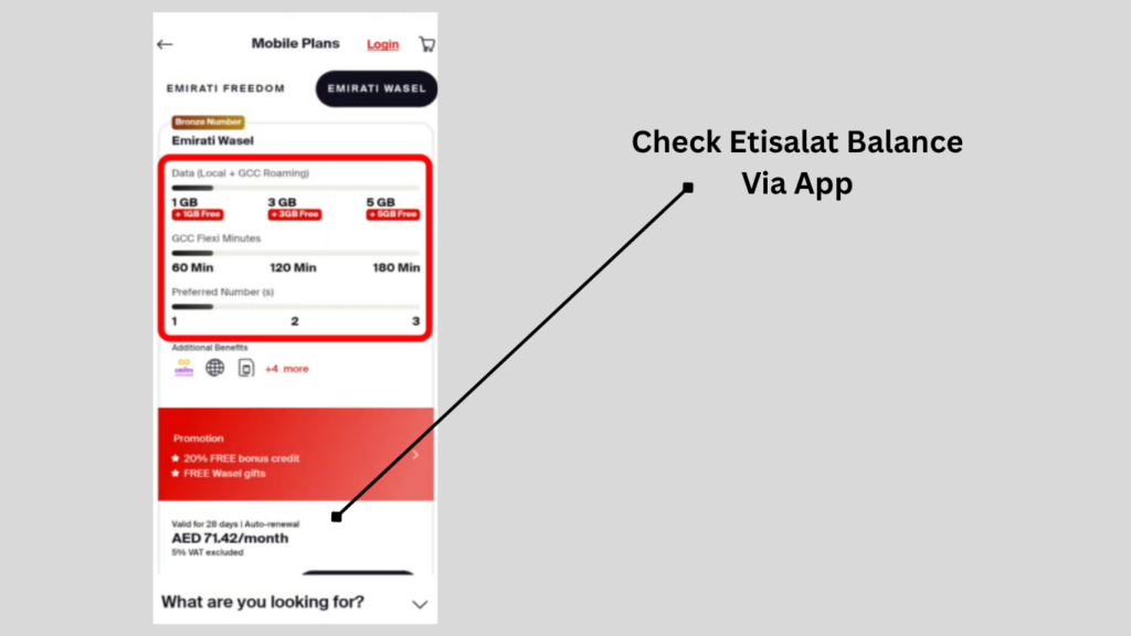 Checking Etisalat balance and mobile plan details through the e& UAE app.