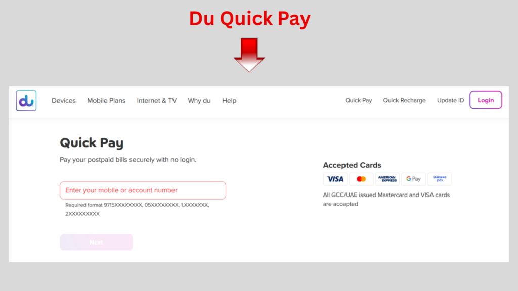 Du Quick Pay payment page with amount, card details, and Pay Now button.