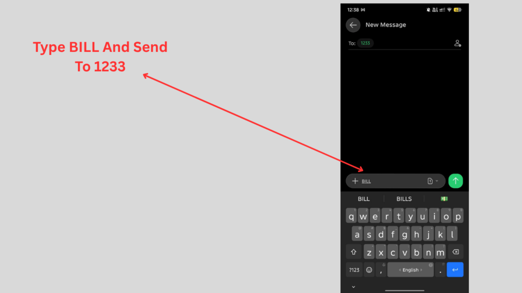 Sending BILL to 1233 via SMS as an alternative to Du Quick Pay bill payment.