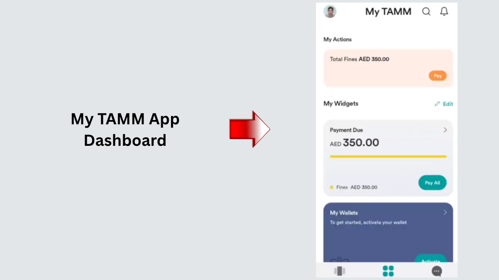 My TAMM app dashboard showing total fines and payment options in Abu Dhabi.